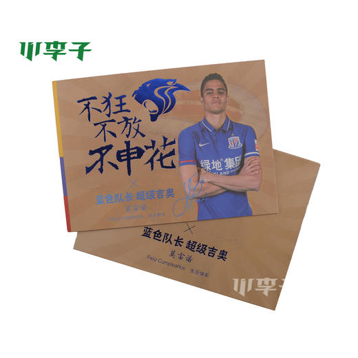 上海申花球迷纪念品邮票申花球员个人限量纪念邮票 商品图4