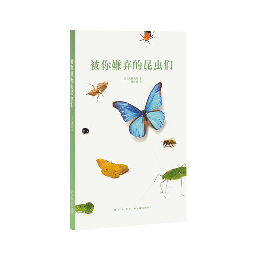 《被你嫌弃的昆虫们》读小库14岁懂社会系列 12岁以上青少年自然科普百科儿童书 商品图0