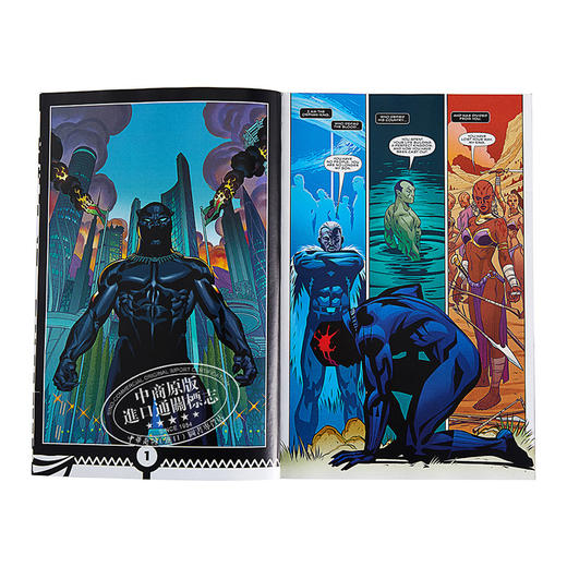 黑豹:一个国家在我们的脚下 英文原版 Black Panther: A Nation Under Our Feet Book 1 漫威 漫画 商品图3