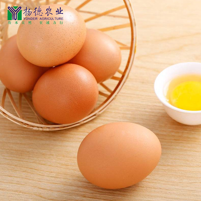 扬德林下土鸡蛋