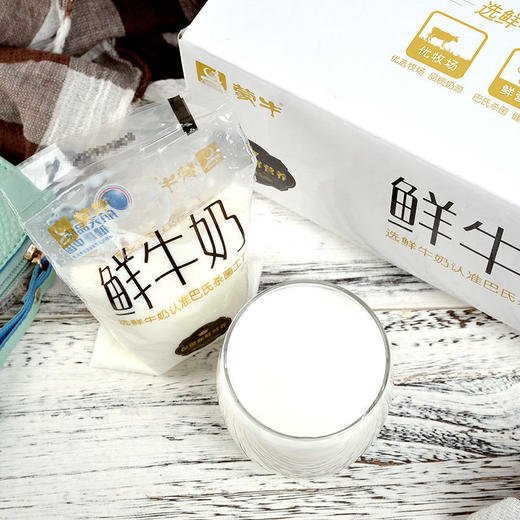 蒙牛百利包鲜奶180g*12袋/箱 商品图3