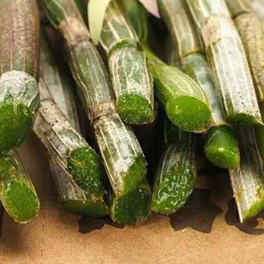 有机面条仙草面石斛面全素粗面240g/盒（中国有机认证） 商品图4