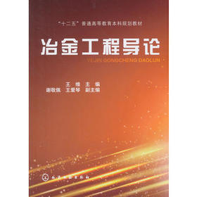 冶金工程导论 王维