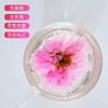 【分销】喜善花房 玫瑰花冠茶 30g/罐 商品缩略图6