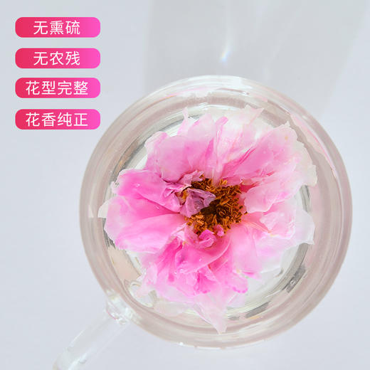 【分销】喜善花房 玫瑰花冠茶 30g/罐 商品图6