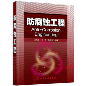 防腐蚀工程 王兆华
