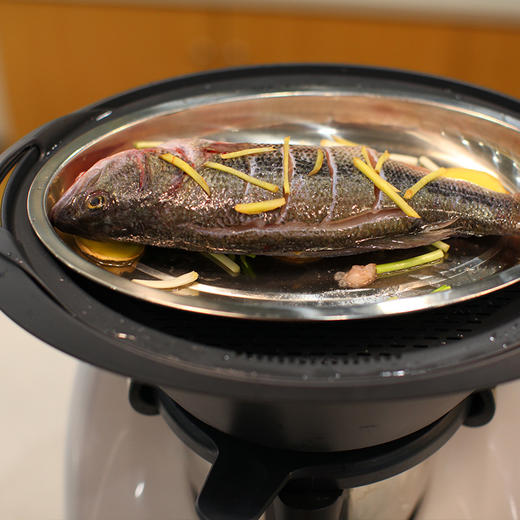 美善品小美专用TM5TM6小美专用椭圆形不锈钢蒸鱼盘碟子蓝丽隆 商品图3