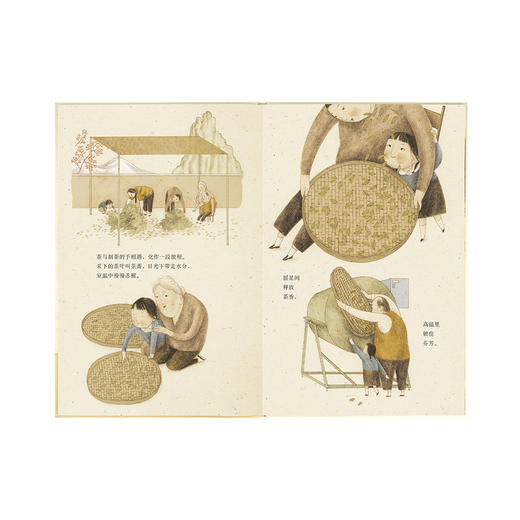 《茶》无处不在的茶道文化  “中国基因”系列 读小库 3-6岁 商品图3