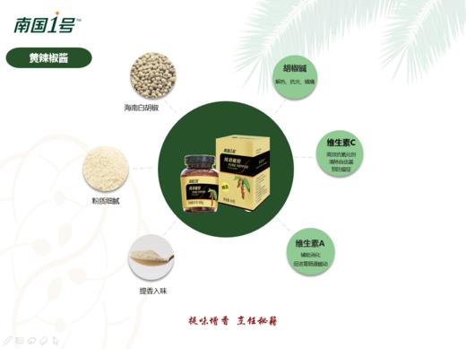 【厨房三宝】海南纯胡椒粉 60g/瓶 商品图6