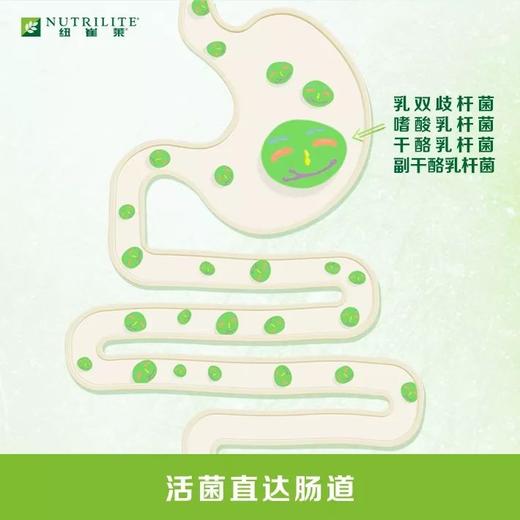 纽崔莱复合®益生菌固体饮料/耐胃酸耐胆汁/此款适合成人/无需冷藏 商品图4