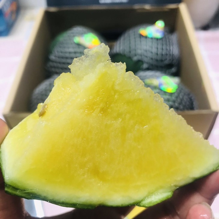 梦大地黄瓤西瓜2颗份1颗约38斤黑皮黄肉果肉细嫩果香浓郁汁水丰富口感