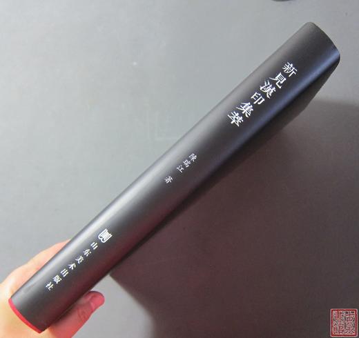 《新见汉印集萃》全一册 商品图12