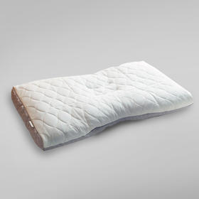 助眠与护颈的神器东京西川桧木活性炭枕