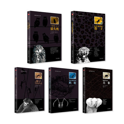 动物不简单 第1辑 德斯蒙德莫里斯 著 中信出版社图书 正版书籍 商品图5