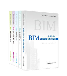 （任选）建筑信息化服务技术人员——综合类