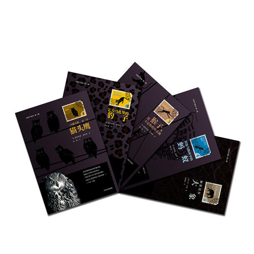 动物不简单 第1辑 德斯蒙德莫里斯 著 中信出版社图书 正版书籍 商品图6