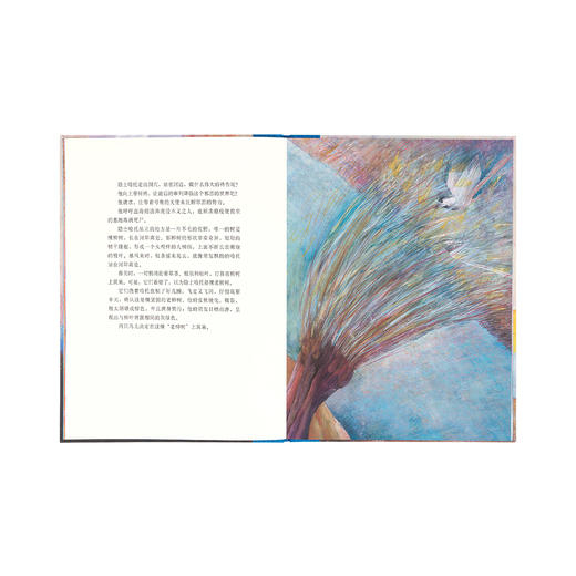 《鸟巢》诺贝尔文学得主 女性作家拉格洛夫 林清玄译写 大师名作 读小库 7-12岁 商品图1