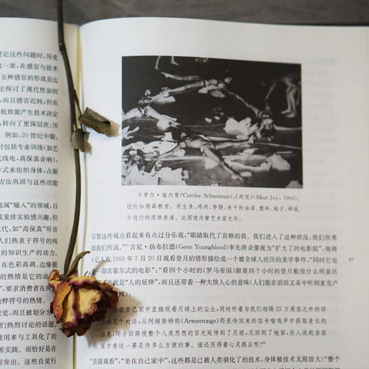 媒介研究批评术语集 商品图4