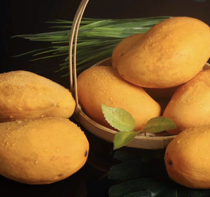 缅甸圣德龙芒果单果约260g入口舒滑爽口肉厚核小自然香甜芒果界的女神