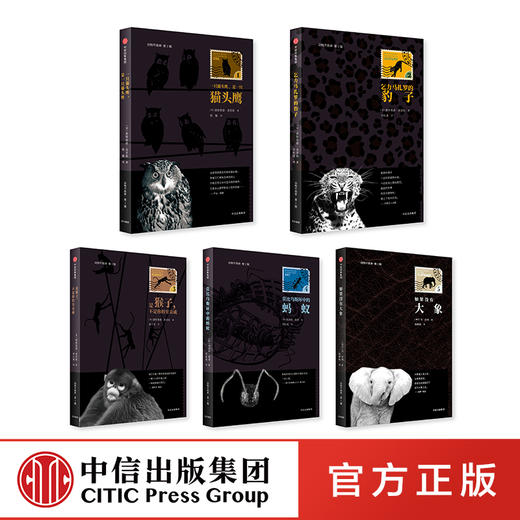 动物不简单 第1辑 德斯蒙德莫里斯 著 中信出版社图书 正版书籍 商品图4