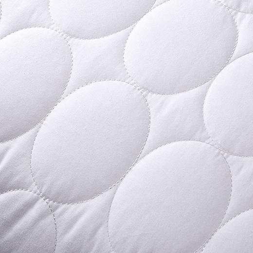 HBZX-008 HUGO BOSS 舒适鹅毛枕 商品图2