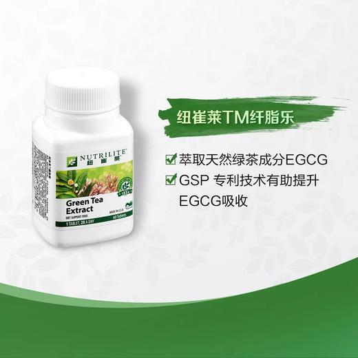 纽崔莱纤脂乐/临床实验证明90天饮食控制加300mgGSP可平均减重13.9kg 商品图11