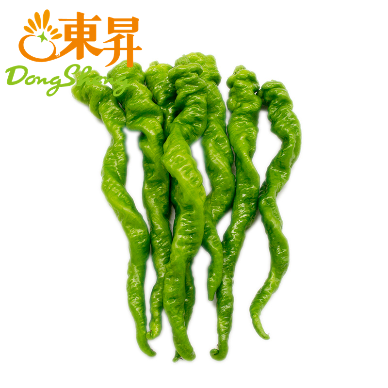 东升螺丝椒 牛角椒 广州蔬菜新鲜配送300G