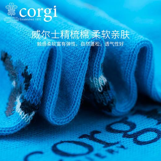 英国CORGI·夏季新款男士轻棉船袜时尚浅口休闲运动透气耐磨短袜 商品图3