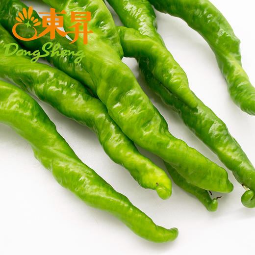 东升螺丝椒 牛角椒 广州蔬菜新鲜配送300G 商品图2