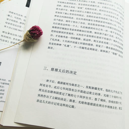 我的前半生：全本（香港大学评选「人生必读的100本书」，近代史上绝不可跨越的人物，为自己做传的中国皇帝——爱新觉罗·溥仪。） 商品图6