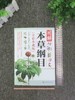 图解本草纲目（全彩典藏版） 商品缩略图5