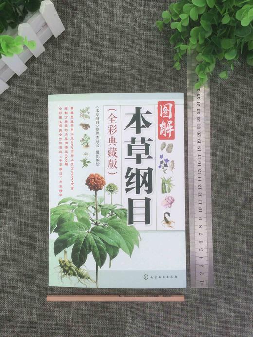 图解本草纲目（全彩典藏版） 商品图5