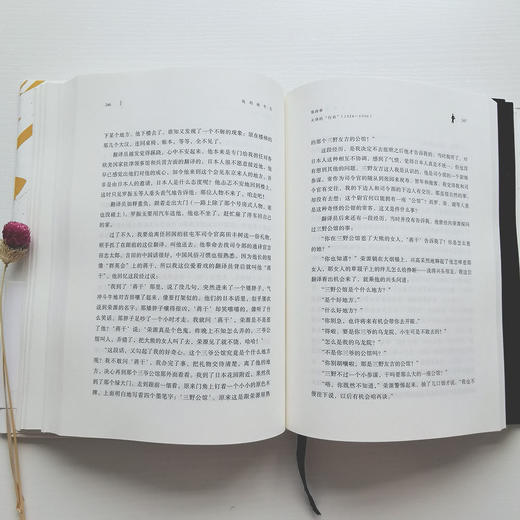 我的前半生：全本（香港大学评选「人生必读的100本书」，近代史上绝不可跨越的人物，为自己做传的中国皇帝——爱新觉罗·溥仪。） 商品图7