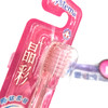 狮王细齿洁 晶彩牙刷(细丝特磨) 软毛月子女士牙刷颜色随机发 商品缩略图1