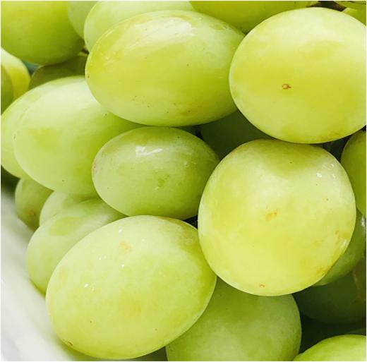 澳洲秋日酥顶级大青提|绿宝石般的巨大颗粒,一嚼咔嚓酥脆爽,甜到心窝