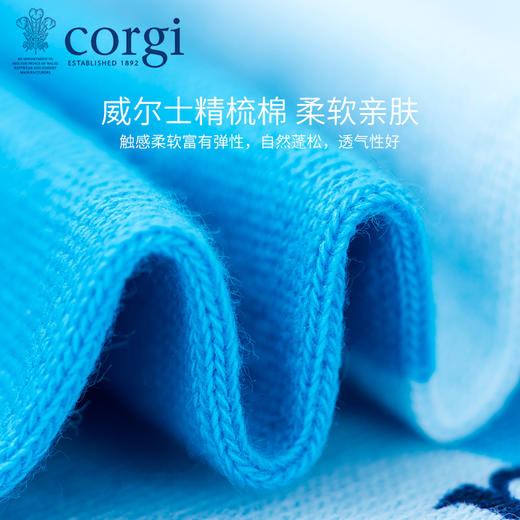 CORGI柯基英国进口男士船袜日系小清新薄款条纹精梳棉手工短袜 商品图3