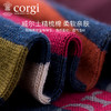 英国CORGI·夏季新款女士轻棉时尚条纹袜浅口短袜休闲运动船袜 商品缩略图3