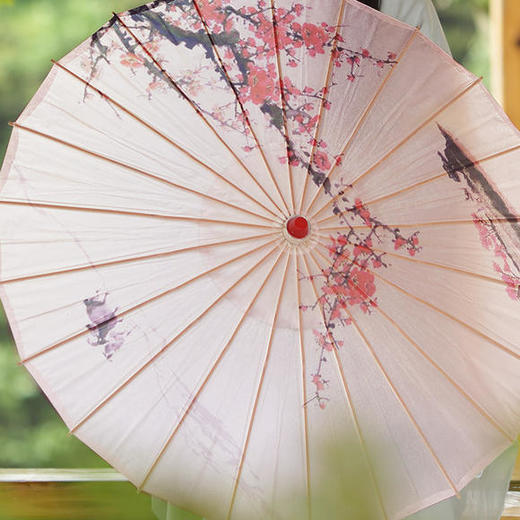 古典中国风汉服舞蹈演出油纸伞ljx