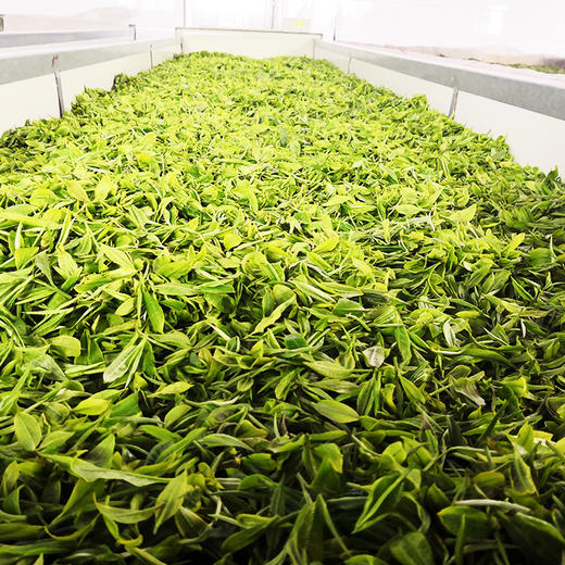 黔西南普安【普安红*金丝红】400g礼盒装 （一级） 全国包邮  生态种植 珍品格调 商品图1