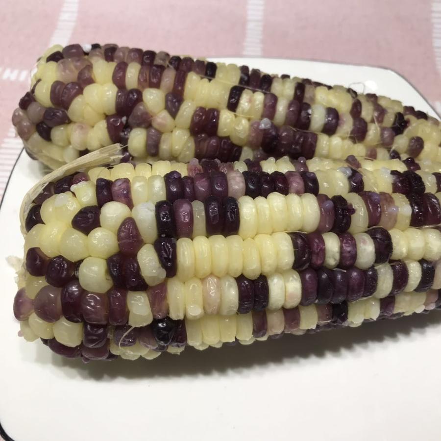 黑白相间,好糯好好吃,玉米香十足,特别棒,肉质紧实q弹
