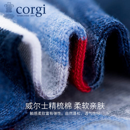 CORGI柯基英国进口男女同款船袜薄款多色条纹休闲亲肤精梳棉手工短袜 商品图3