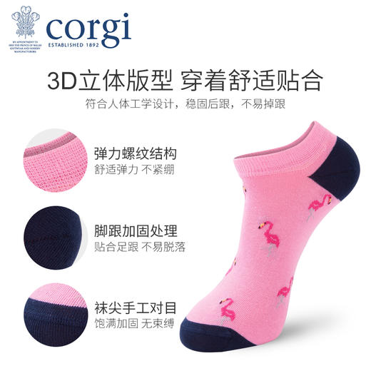 英国CORGI·夏季新款男女情侣款粉色时尚船袜休闲运动浅口短袜 商品图2