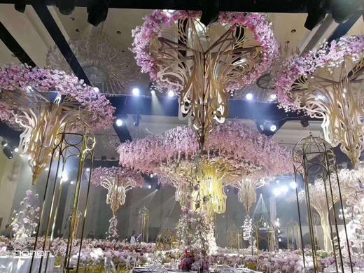 朝花夕拾【运费自理】 商品图5