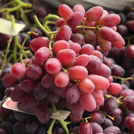 澳洲克瑞森无籽红提 商品图3
