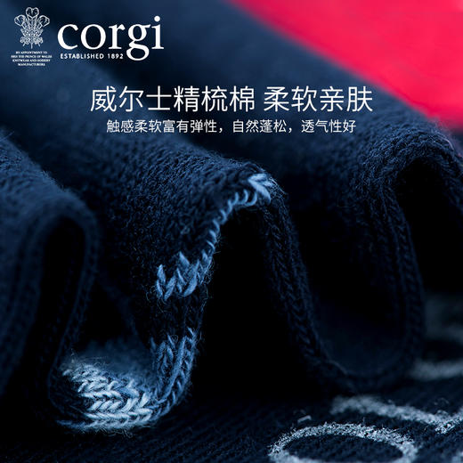 英国CORGI·夏季新款男士轻棉船袜透气舒适休闲运动时尚浅口短袜 商品图3