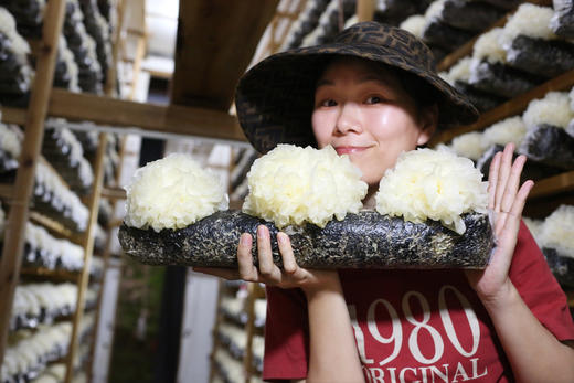 猫太推荐----特级古田新鲜银耳，一份6朵(顺丰快递) 商品图3