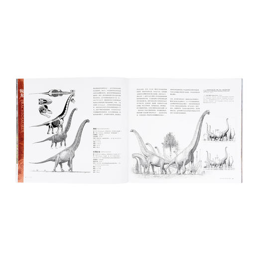 《恐龙再现》 见证古生物复原艺术的奥秘 10-100岁 读小库 自然科普 古生物艺术 商品图3
