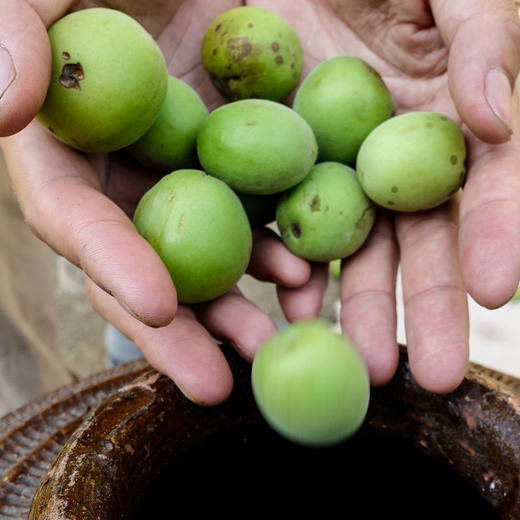 *预售*望水岭青梅*5月上中旬发货 商品图2