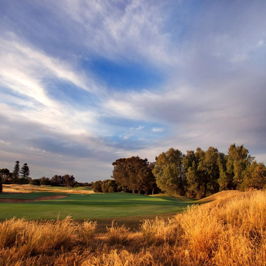 皇家阿德莱德高尔夫俱乐部 Royal Adelaide Golf Club| 澳大利亚高尔夫球场 俱乐部 商品图1