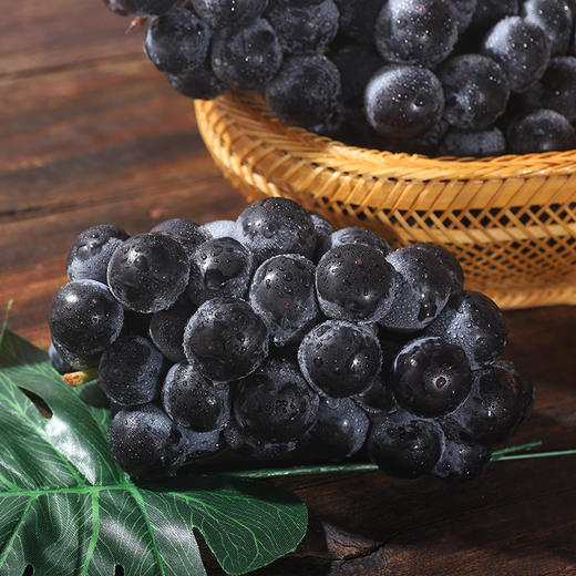 云南 夏黑葡萄 无籽的天然果冻 水润清甜 不酸不涩 脆嫩无渣 满满的